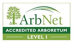 ArbNet Logo